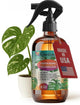 GARDENERA Professional Organic Liquid Kelp Spray for Thai Constellation Plants - 8 oz - Ready-to-Use Fully Organic Seaweed & Kelp Fertilizer Mist
