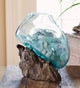 OMA Molten Glass on Driftwood – Hand Blown Vase, Terrarium, or Planter Centerpiece for Coastal & Boho Home Décor (7" – 9" High)