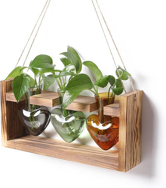 Plant Terrarium Propagation Stations Hydroponics Home Garden Decoration Gift for Women with Wooden Stand Heart Shaped Colored Glass Vase