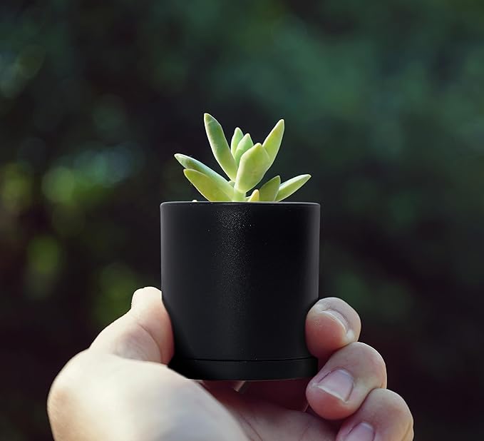 D'vine Dev 24 Pack 2 Inch Mini Plastic Plant Pots, Small Garden Planters for Plant with Drainage Holes and Saucers, Black Color, 74-Y-A-6
