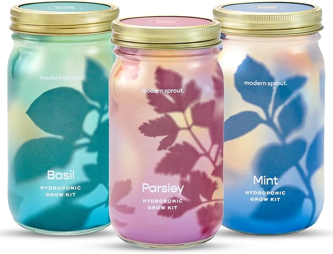 Modern Sprout Garden Jar Gift Pack - Self-Watering Hydroponics Growing System Kit with Organic Herb Seeds - Seed Starter Kit for Indoor Herb Garden - Home Decor & Gifting - Basil, Parsley & Mint