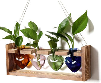 CYZglass Plant Propagation Stations Heart Plant Terrarium Kit Gift for Women Plant Lover Glass Vases