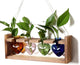 CYZglass Plant Propagation Stations Heart Plant Terrarium Kit Gift for Women Plant Lover Glass Vases