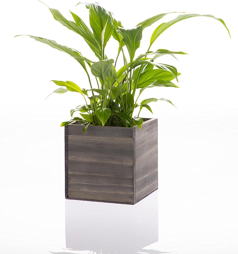 Wooden Planter Box, Rustic Barn Wood with Plastic Liner l Garden Decor l Restaurant and Wedding Decorations l Wedding Bouquets, Table Centerpiece (5x5 Set of 4, Natural)