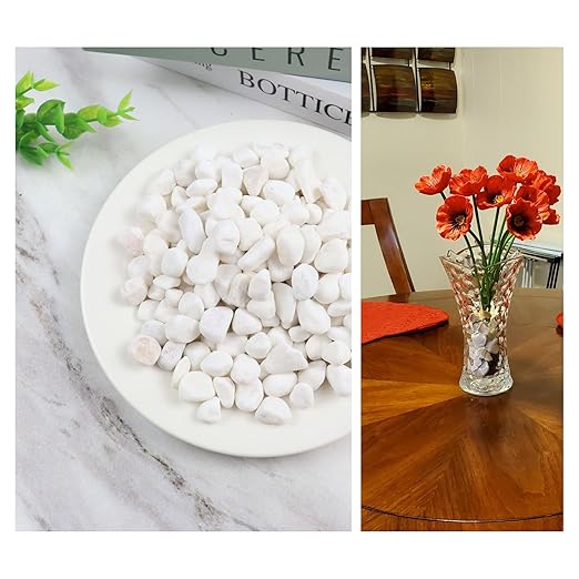 1LB Natural Gravel Pebbles, Cactus and Succulent Plants Pebbles, Small Decorative Polished Stones, White River Rocks for Potted Plants, Vases, Aquariums, Terrarium and Outdoor Gardening