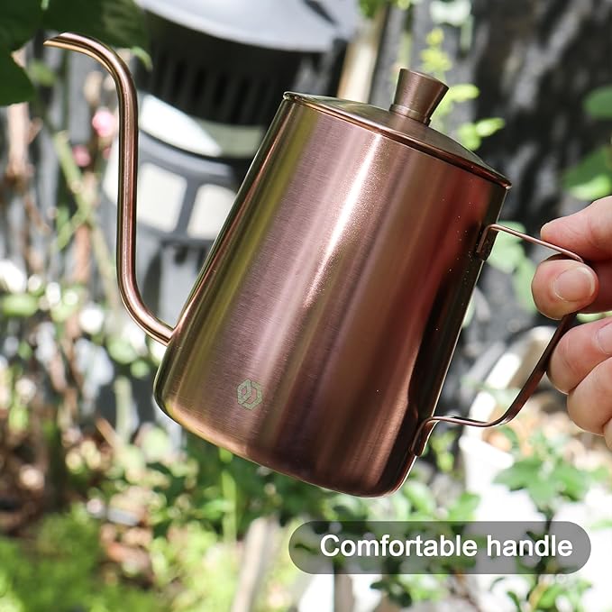 Watering Can for Indoor Plants Long Spout Metal Stainless Steel 21 oz/600 ml Small Watering Can with 14 oz/400ml Glass Plant Mister Spray Bottle for Plants Bonsai
