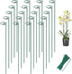 Joyhalo 20 Pack Plant Support Stakes 24 Inch, Plant Stakes, Flower Stakes with 24 Twist Ties, Garden Sticks for Plants Iris, Dahlia, Gladiolus, Amaryllis, Rose, Sunflower, Tomato, Sapling Etc