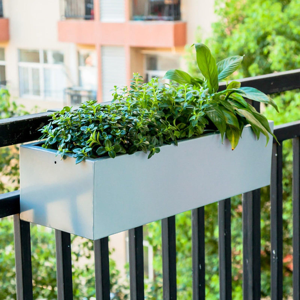 Labasuan Hanging Railing Planter for Balcony, Metal Outdoor Flower Box with Brackets and Drainage, Window Deck Fence Planting Container for Herb Vegetable Succulent(80cm/31.5in)