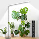 STERREN Plant Floor Lamp for Indoor Plants, Full Spectrum LED Grow Light with 4/8/12H Timer, Dimmable Black Plant Light with Stand, Rotary Tall Grow Lights Head Adjustable, 4000K