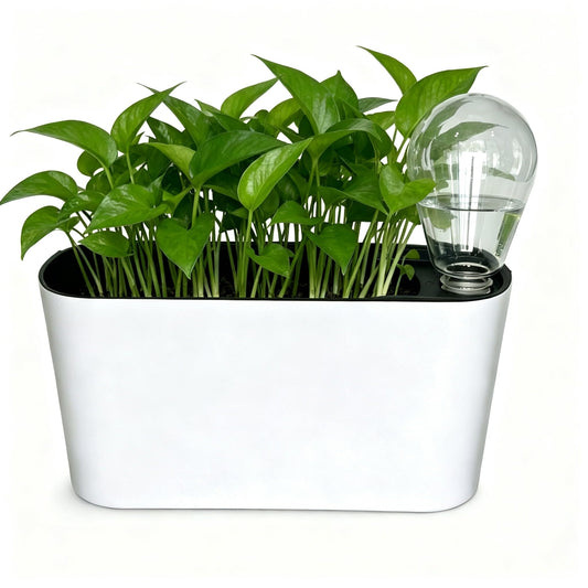 Yaghpy Self Watering Pots for Indoor Plants,12.5’’ Oval Planter with Lantern Type Water Storage Tank Level Indicators for Plants & Flower Outdoor Pothos Herb pots, Window Box (2 Set, White)