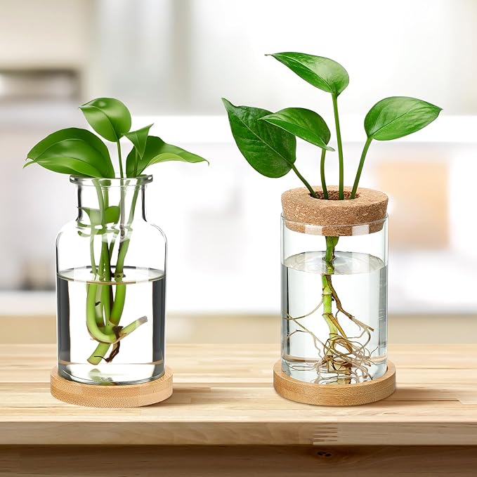 Layhit 4 Pcs Plants Propagation Stations vases Glass Planters with Wooden Lid and Bamboo Stand for Hydroponic Plants Gardening Gifts for Women Mom Home Office Tabletop Decoration(Wide Mouth Style)
