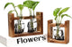 2+1 Plant Terrarium Plant Propagation Station Gifts for Father Halloween Skull Home Office Decor with Wooden Stand