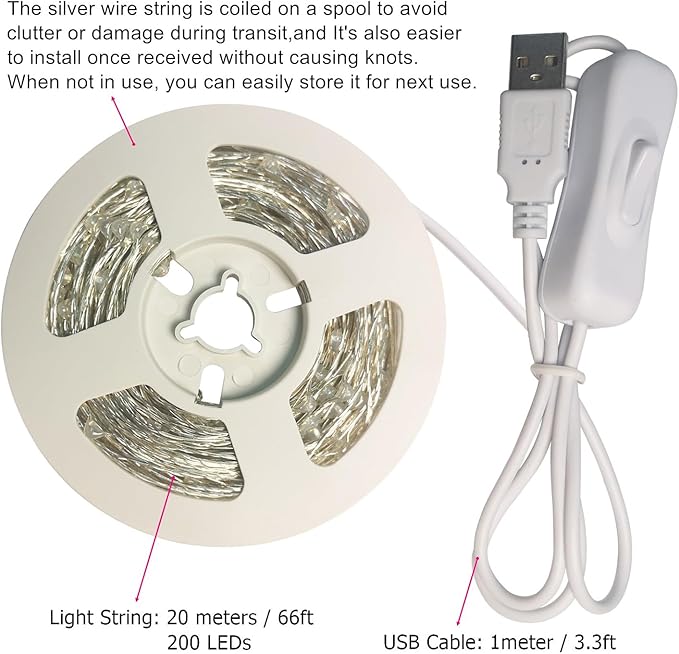 RUICHEN Silver Wire 66 Ft 200 LED USB Fairy String Lights with On/Off Switch (Cool White)