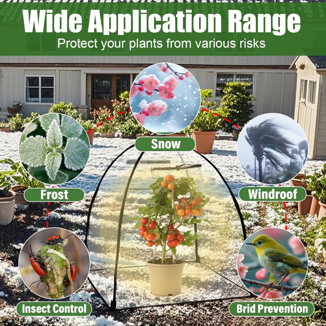 Clear Plant Covers Freeze Protection, 2-Pack Cloches & Domes, Winter