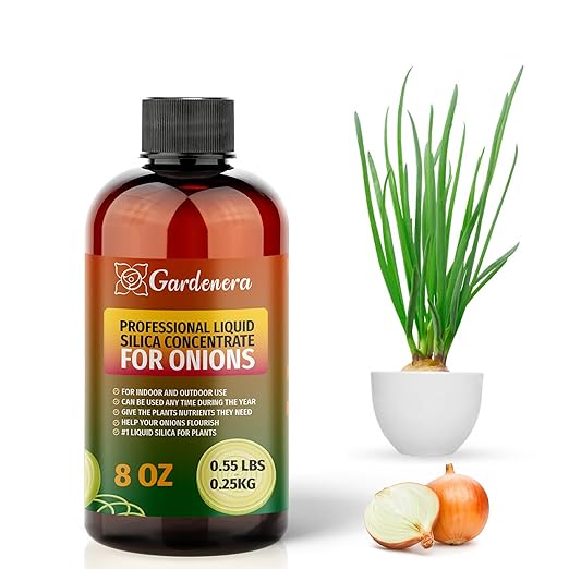 𝐏𝐑𝐄𝐌𝐈𝐔𝐌 Liquid Silica Plant Supplement - 8oz (250mL) - Onions Plants Liquid Silica Boost Fertilizer - Stronger Stems & Healthy Leaves for Indoor & Outdoor Onions Plants (Makes 45 Gallons)