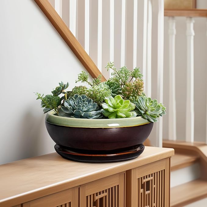SQOWL Succulent Planters 10 Inch - Ceramic Bonsai Pots with Drainage Hole and Saucer, Shallow Indoor Planter, Round Succulent Pot, Bowl Planter Outdoor, Porch Decor, Gift for Plant Lover, Green-Brown