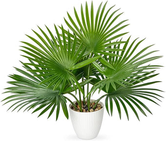 GnFlus Artificial Palm Plant 15 Inch Fake Tropical Potted Plants Faux Palm Leaves in Pot for Home Indoor Tabletop Centerpieces Living Room Bedroom Decoration