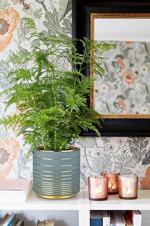 Grey Ceramic Plant Pots, 5.5 + 6.2 Inch Gold Striped Planter for Plants, Modern Flower Pots for Home and Office, Indoor Planters with Drainage Set of 2