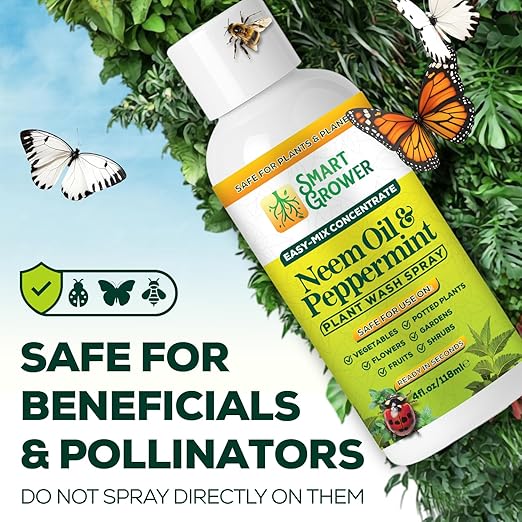 Neem Oil Spray for Plants with Peppermint Oil – for Indoor & Outdoor Plants, Gardens, & Houseplants– Best Value Refill 4 oz Concentrate Makes 1/2 Gallon RTU