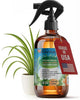 GARDENERA Professional Organic Liquid Kelp Spray for Spider Plant Plants - 8 oz - Ready-to-Use Fully Organic Seaweed & Kelp Fertilizer Mist