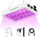 2024 Upgraded BW1000 LED Grow Lights Double Chips Full Spectrum for Greenhouse and Indoor Plant Veg and Flower Growing [White]