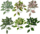Hollyone Fake Plants 6 Pack Artificial Plants Indoor Faux Plant with White Plastic Pot Small Fake Potted Plant for Home Aesthetic Living Room Bathroom Desk Shelf Office Decor