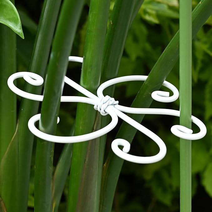5PCS Monstera Plant Support Hook - 5.5x5.5 inch Premium Indoor Stem Stabilizer for Monstera & Fishbone Cactus, Durable,Easy Installation, Gentle Protection for Healthy Plant Growth