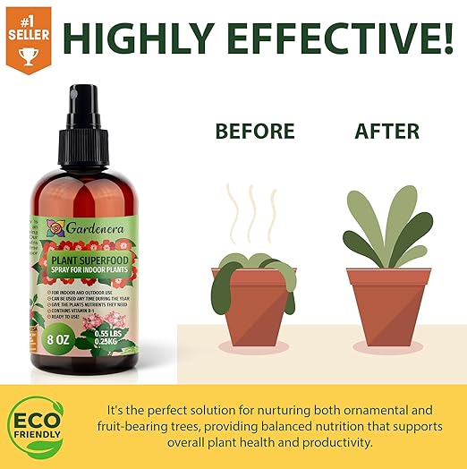 𝐁𝐄𝐒𝐓𝐒𝐄𝐋𝐋𝐄𝐑 Plant Superfood for Fiddle Leaf FIG Plants with B1 Vitamin, Glucose and Essential Minerals - Organic Plant Food Fertilizer for Indoor & Outdoor Fiddle Leaf FIG - 8oz
