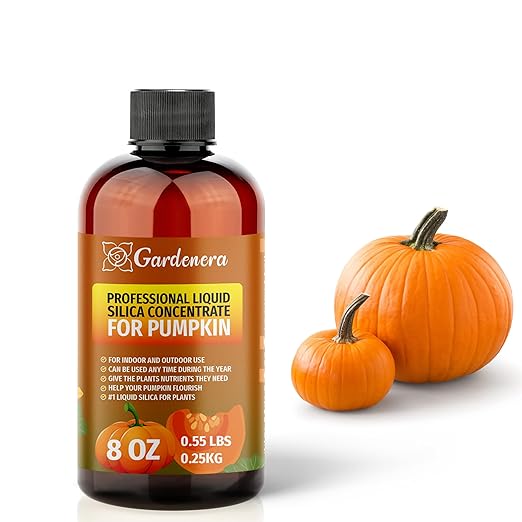 𝐏𝐑𝐄𝐌𝐈𝐔𝐌 Liquid Silica Plant Supplement - 8oz (250mL) - Pumpkin Plants Liquid Silica Boost Fertilizer - Stronger Stems & Healthy Leaves for Indoor & Outdoor Pumpkin Plants (Makes 45 Gallons)