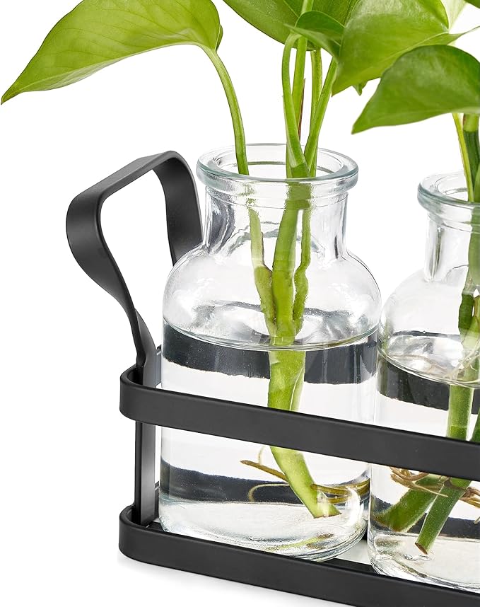Mkono Propagation Stations with Metal Stand, Desktop Plant Terrarium Glass Planter Vase for Hydroponic Plants Flower Cutting Home Office Garden Decor Plant Lover Gifts, 3 Jars