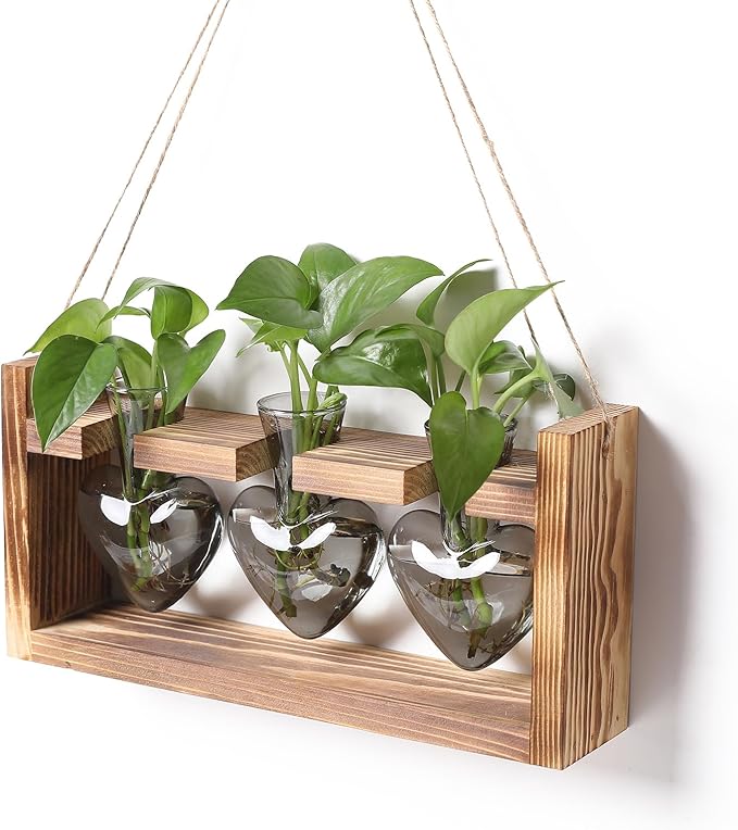 Plant Terrarium Propagation Stations Hydroponics Home Garden Decoration Gift for Women with Wooden Stand Heart Shaped Colored Glass Vase