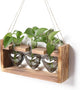 Plant Terrarium Propagation Stations Hydroponics Home Garden Decoration Gift for Women with Wooden Stand Heart Shaped Colored Glass Vase