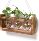 Plant Terrarium Propagation Stations Faith Hope Love Hydroponics Home Garden Decoration Gift for Women with Wooden Stand Heart Shaped Colored Glass Vase