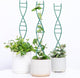 Indoor Plant Trellis - DNA Spiral Design Metal Trellis for Potted Plants, Stylish Climbing Support for Small Houseplants, Durable & Easy to Install Garden Upgrade for Vining Plants