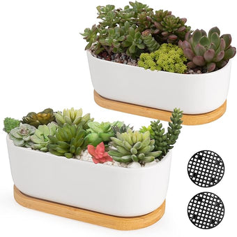 ARVINKEY White Ceramic Succulent Plant Pots, Indoor and Outdoor Succulent Planters, Set of 2 Small Cactus Containers, Bonsai Pots, Flower Pots with Drainage Hole and Bamboo Bowl (No Plant)
