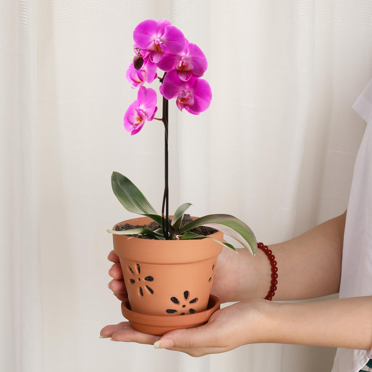 JUXYES Small 4" Hollowed Out Terracotta Orchid Pots with Holes and Saucer
