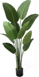 CAPHAUS 5FT Artificial Bird of Paradise Tree, UV Resistant Potted Fake Plant with Dried Moss for Indoor Outdoor Use, Realistic Floor Plant for Home Office Corner Decor, No Maintenance