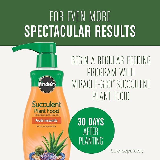 Miracle-Gro Succulent Potting Mix, For Indoor Succulents, Aloe Vera and More, Made with Miracle-Gro Plant Food, 4 qt