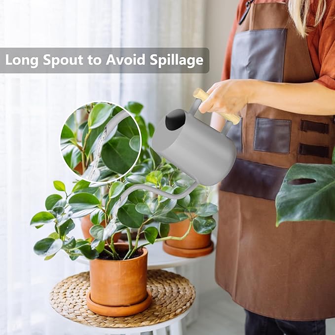 Watering Can Indoor Plants, 35oz Small Indoor Stainless Steel Metal Watering Can Modern Decorative Watering Pot with Long Spout for Indoor House Plant Bonsai Garden Flowers (Gray)
