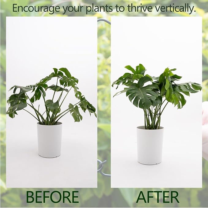 5PCS Monstera Plant Stem Support - 11 * 9.4 Inches, Durable Metal Stake Holder, Adjustable for Indoor Plant Leaf Support. Gentle Clips for Enhanced Stability for Plant Lovers!