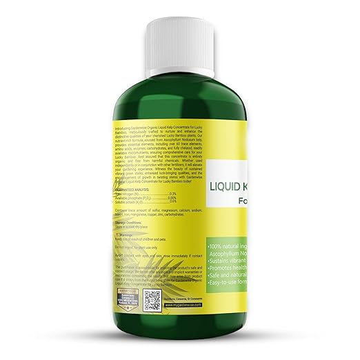 Organic Premium Kelp Seaweed Liquid Fertilizer for Lucky Bamboo - Natural Soil Enhancer (16 OZ)