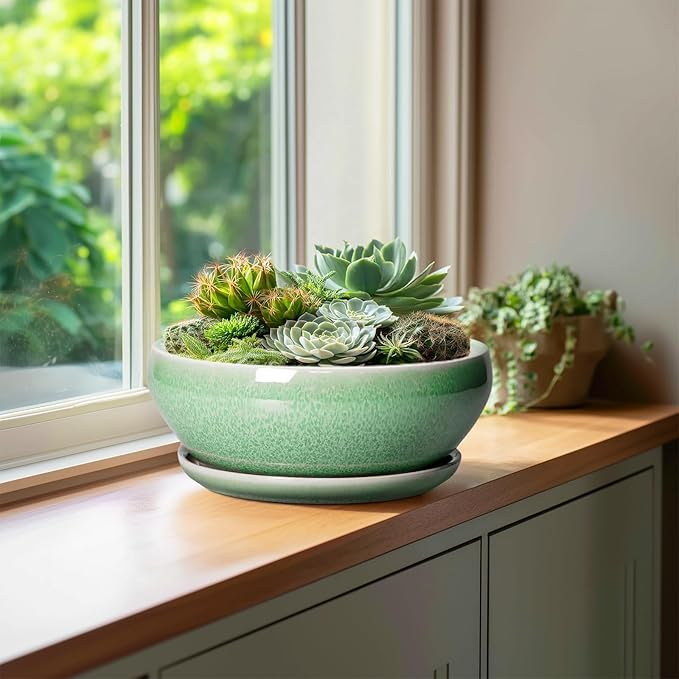 SQOWL Bonsai Pots - 10 Inch Ceramic Succulent Pots with Drainage Hole and Saucer, Shallow Planter for Indoor Plants Flowers, Round Planter Bowl, Living Room Decor, Plant Lover Gifts, Green