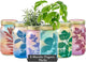 Modern Sprout New & Improved Mason Jar Grow Set 6pk, Indoor Herb Garden, Seed Starter Set, Organic Seeds, Hydroponic Growing (Basil + Mint + Parsley + Cilantro + Rosemary+ Lavender)