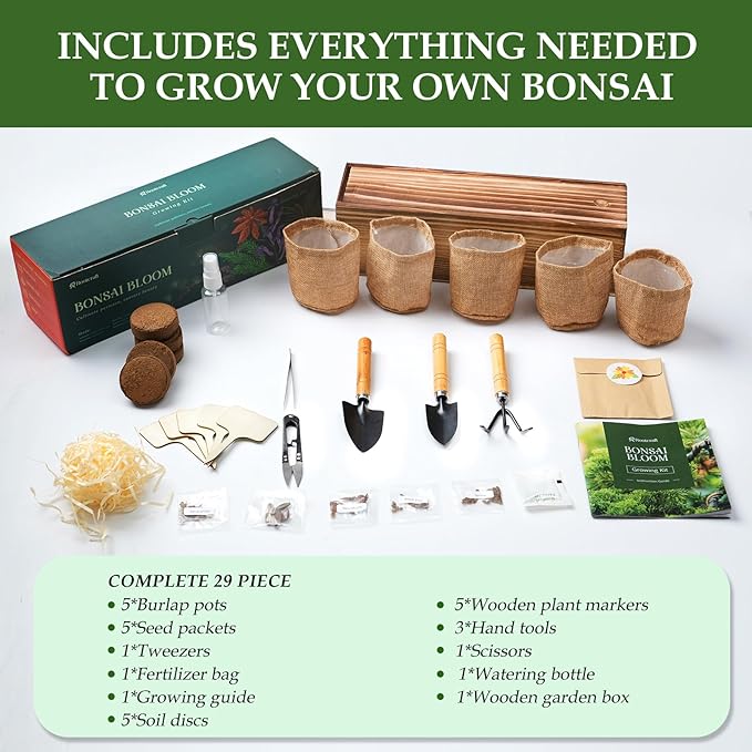 5 DIY Bonsai Tree Kit for Beginners, Complete Indoor Gardening Starter Kit with Seeds, Soils, Pots & Tools, Unique Birthday Gifts Ideas for Women, Men
