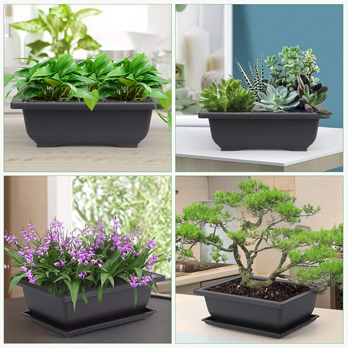 GROWNEER 6 Pack 9 Inch Bonsai Pots with Drainage Humidity Trays, Bonsai Tree Training Kits with 1 Repotting Mat, Rectangle Planter Plants Container Growing Pot for Garden Outside Indoor