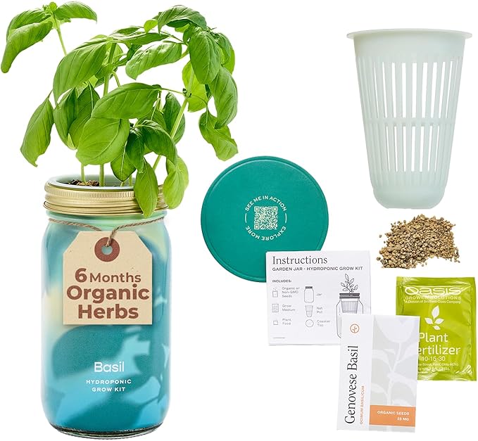 Modern Sprout Mason Garden Jar - Self-Watering Hydroponics Growing System Kit with Organic Herb Seeds - Jar Planter for Indoor Herb Garden - Seed Starter Kit - Home Decor & Gifting - Basil