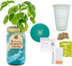 Modern Sprout Mason Garden Jar - Self-Watering Hydroponics Growing System Kit with Organic Herb Seeds - Jar Planter for Indoor Herb Garden - Seed Starter Kit - Home Decor & Gifting - Basil