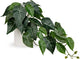 Hollyone Artificial Plants Potted Alocasia Amazonica Polly Faux Plant with White Ceramic Pot Fake Hanging Plants Indoor for Home Living Room Shelf Office Aesthetic Decor