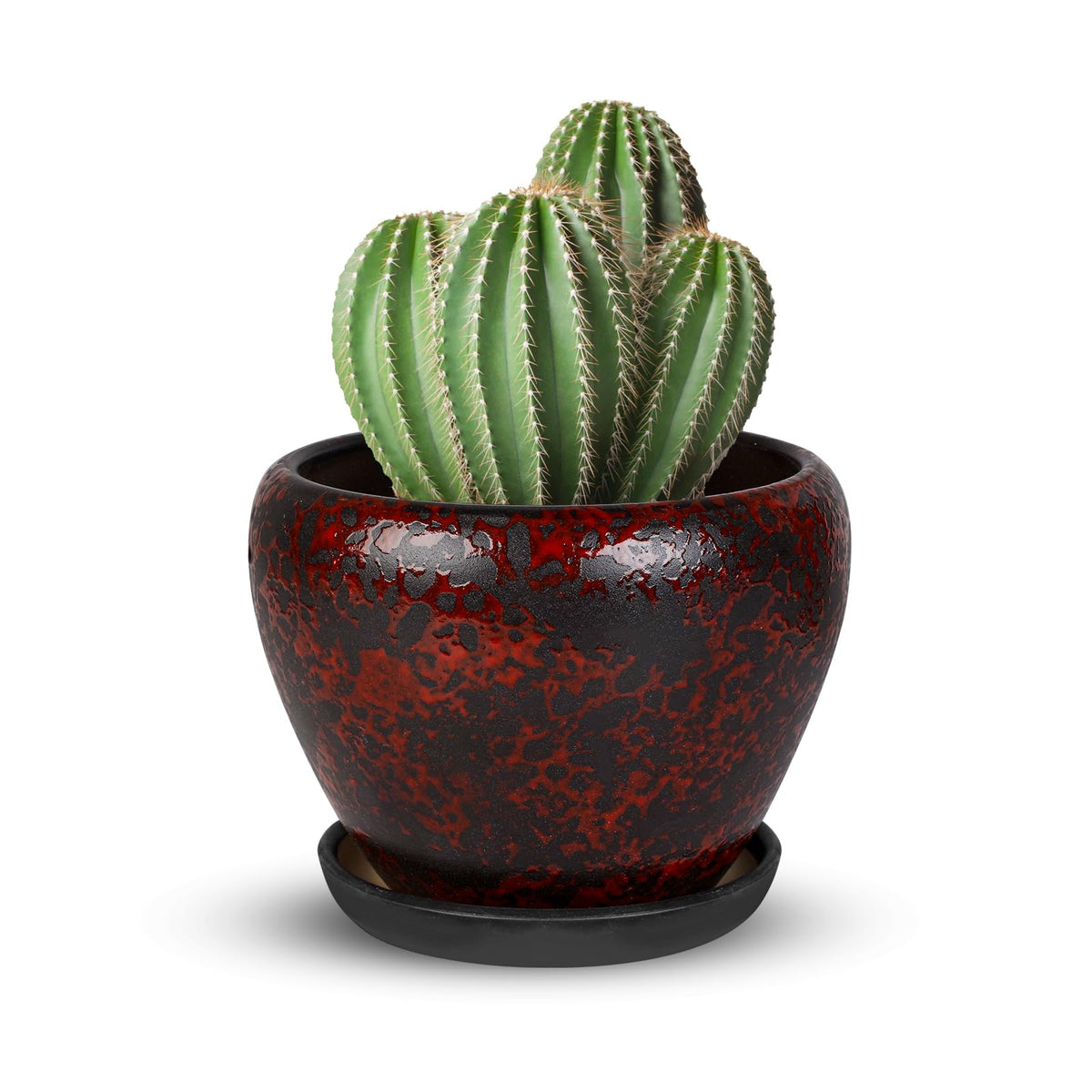 Ceramic Plant Pots With Saucer & Drainage, 6 inch Indoor Flower Pots