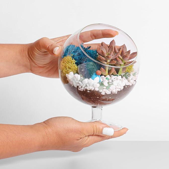 Creations by Nathalie 6" DIY Chalice Terrarium Kit with Live Plants - Build Your Own Glass Terrarium for Adults & Kids with Moss, Crystals, Soil, Tools & Figurine - Mini Ecosystem - Made in The USA